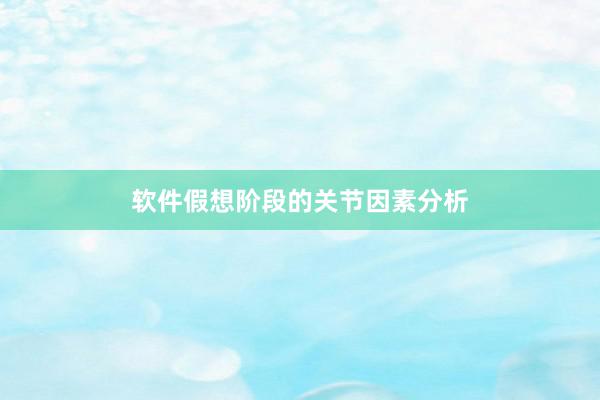 软件假想阶段的关节因素分析