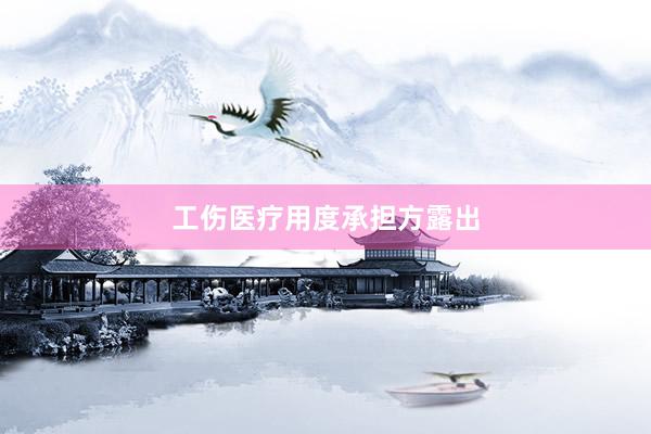 工伤医疗用度承担方露出