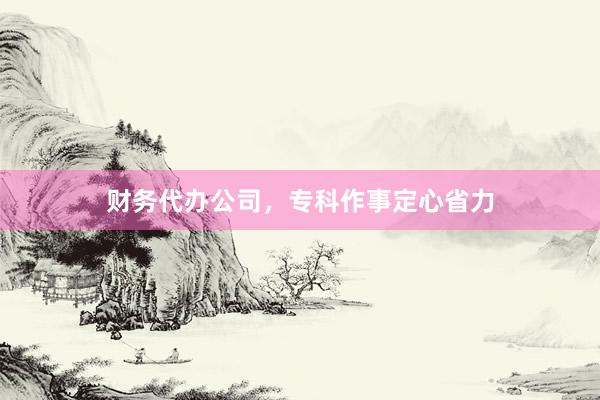 财务代办公司，专科作事定心省力