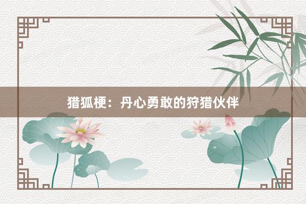 猎狐梗：丹心勇敢的狩猎伙伴